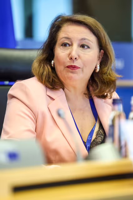 Fotografie 29: PECH Committee constitutive meeting