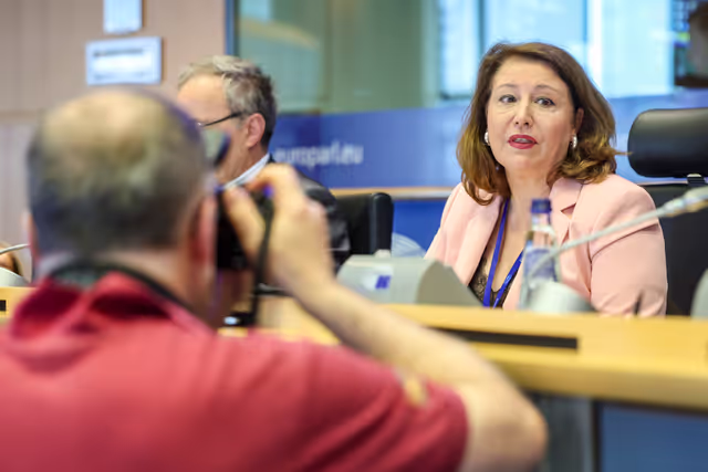 Fotografie 26: PECH Committee constitutive meeting