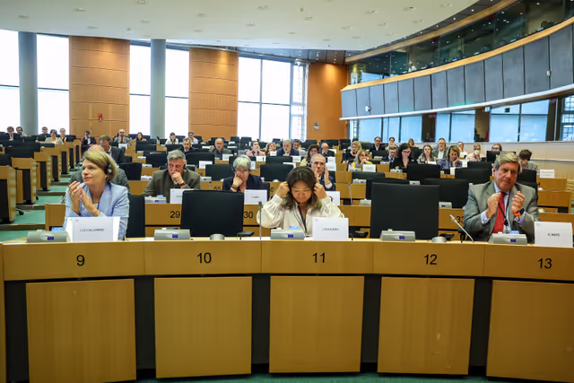 Fotografie 13: PECH Committee constitutive meeting