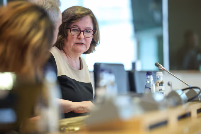 Zdjęcie 30: SEDE Committee constitutive meeting