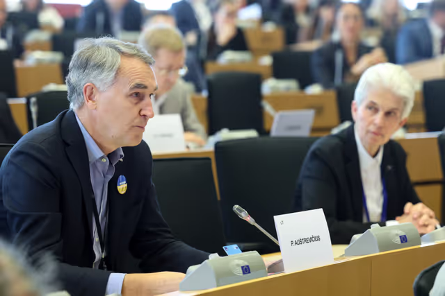 Zdjęcie 29: SEDE Committee constitutive meeting