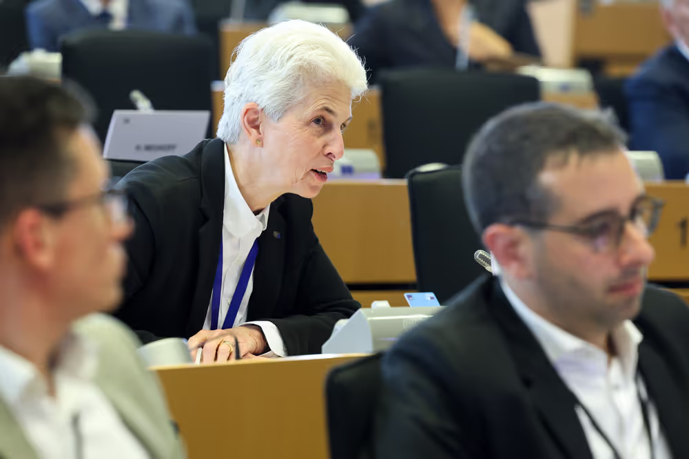 SEDE Committee constitutive meeting