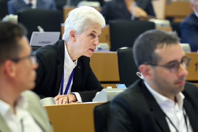 Zdjęcie 28: SEDE Committee constitutive meeting