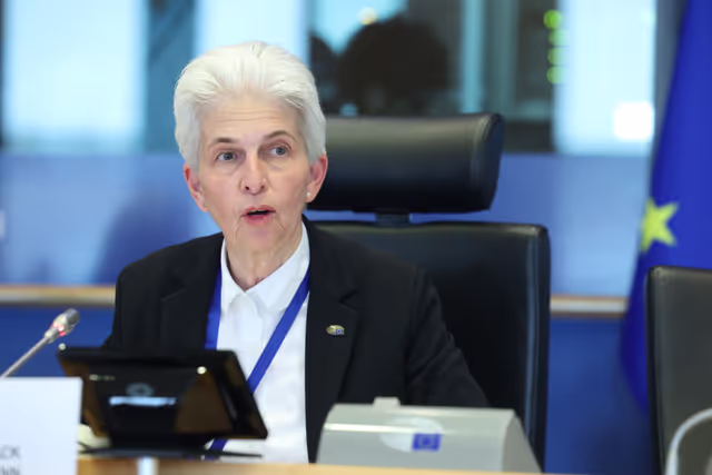 Zdjęcie 27: SEDE Committee constitutive meeting