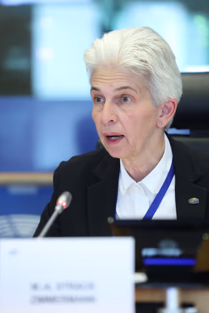 Zdjęcie 26: SEDE Committee constitutive meeting