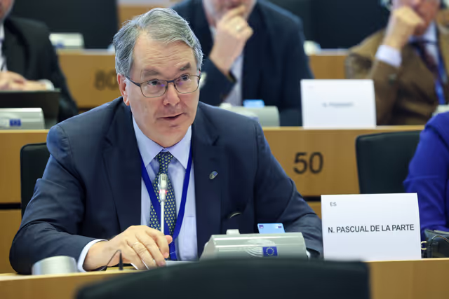 Zdjęcie 25: SEDE Committee constitutive meeting