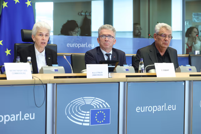 Zdjęcie 16: SEDE Committee constitutive meeting