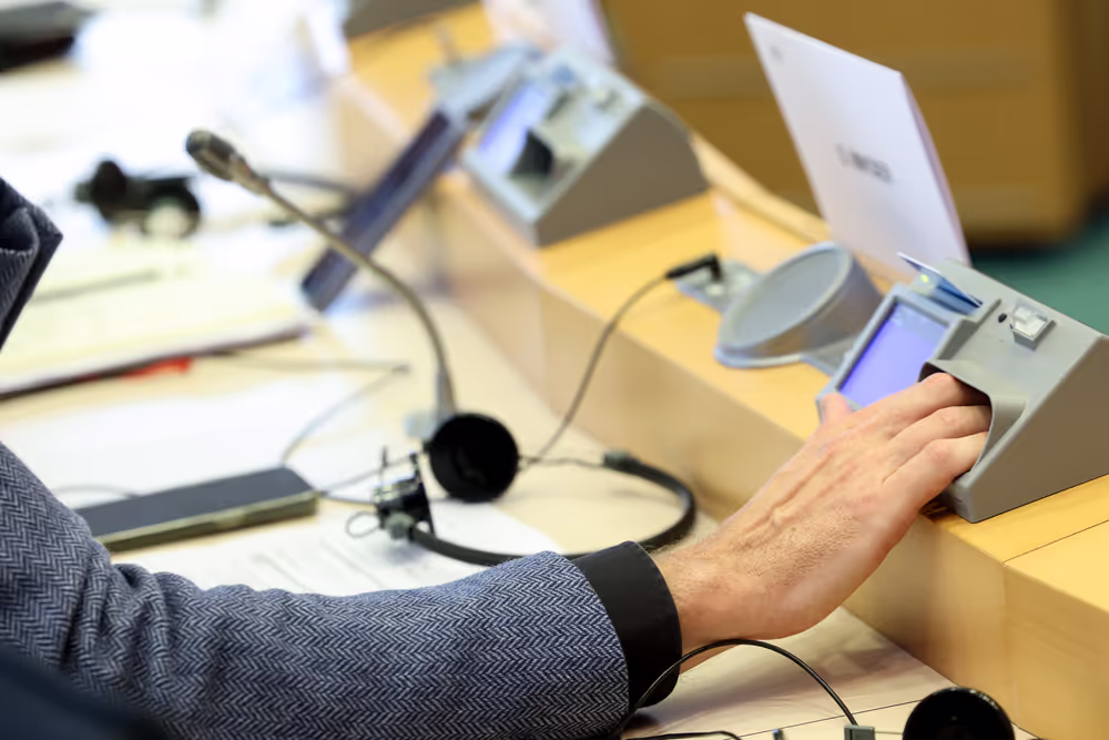 SEDE Committee constitutive meeting