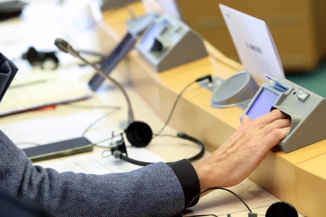 Zdjęcie 15: SEDE Committee constitutive meeting