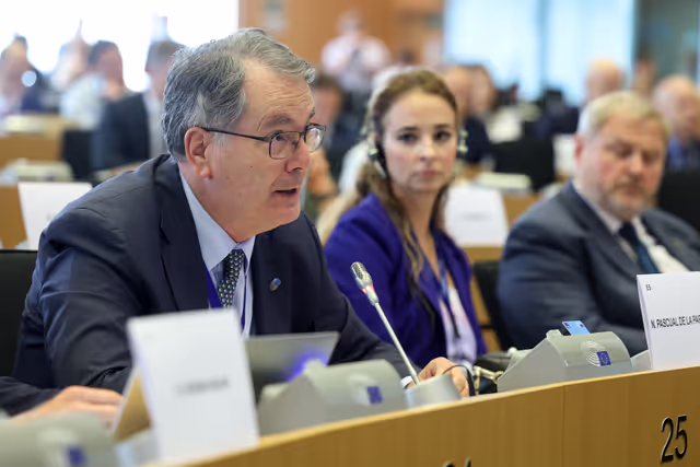 Zdjęcie 12: SEDE Committee constitutive meeting