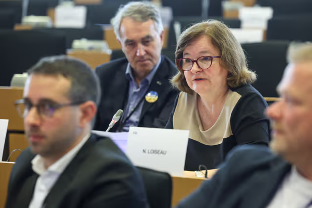 Zdjęcie 9: SEDE Committee constitutive meeting