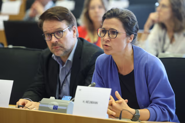 Zdjęcie 8: SEDE Committee constitutive meeting