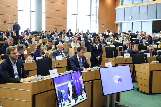 Zdjęcie 7: SEDE Committee constitutive meeting