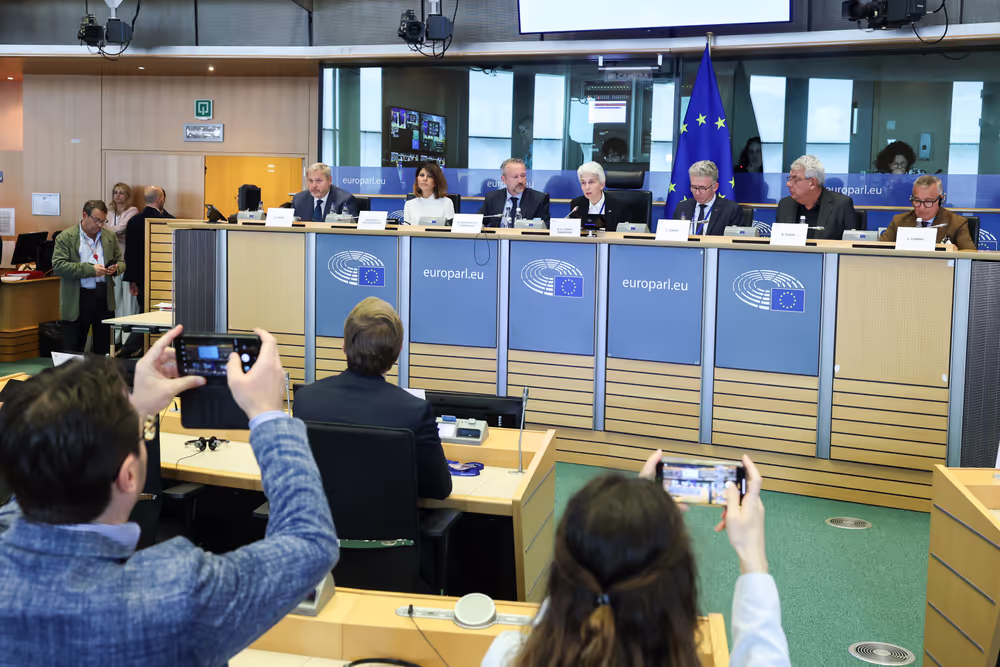 SEDE Committee constitutive meeting