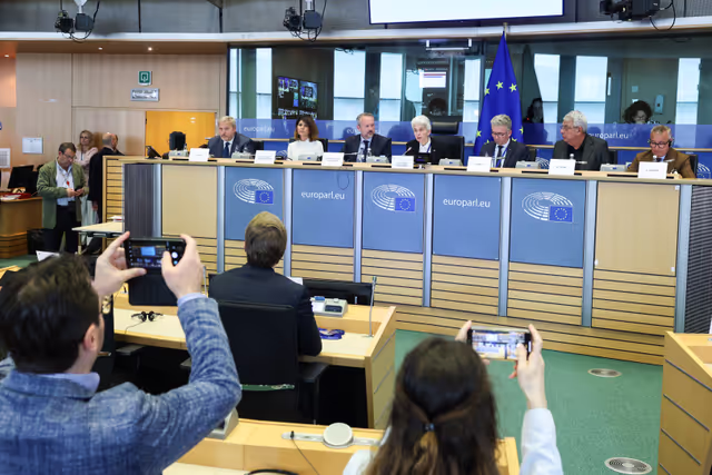 Zdjęcie 5: SEDE Committee constitutive meeting