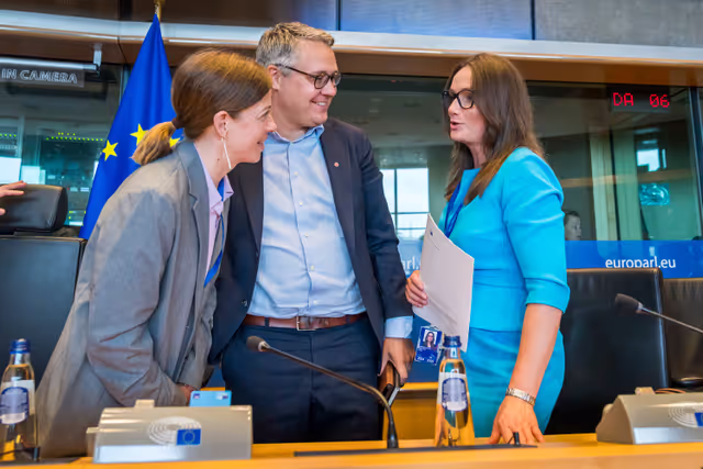 Suriet 8: EMPL Committee constitutive meeting