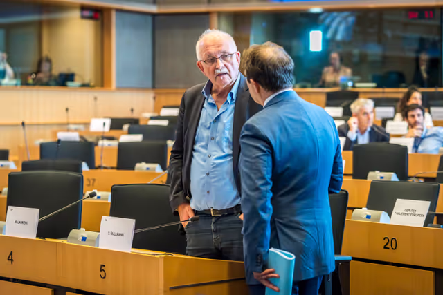 Nuotrauka 33: DEVE Committee constitutive meeting