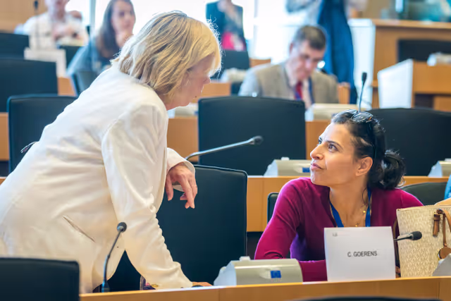 Nuotrauka 32: DEVE Committee constitutive meeting