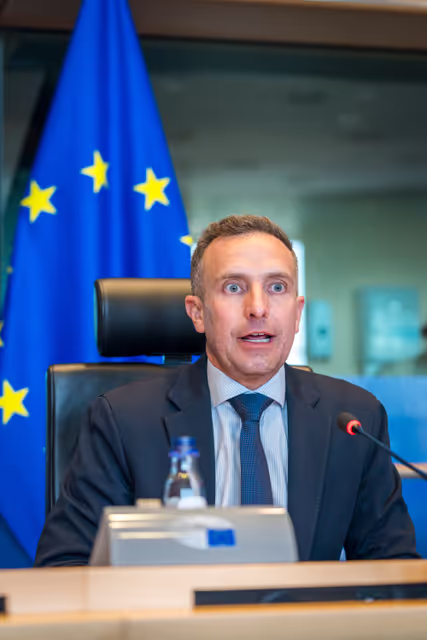 Nuotrauka 30: DEVE Committee constitutive meeting