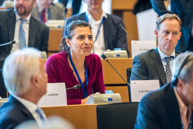 Nuotrauka 29: DEVE Committee constitutive meeting