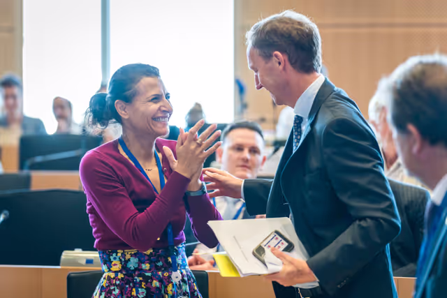 Nuotrauka 28: DEVE Committee constitutive meeting