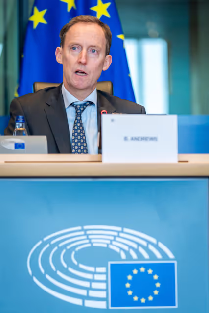 Nuotrauka 25: DEVE Committee constitutive meeting