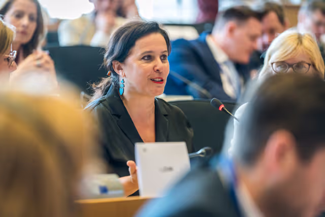 Nuotrauka 22: DEVE Committee constitutive meeting