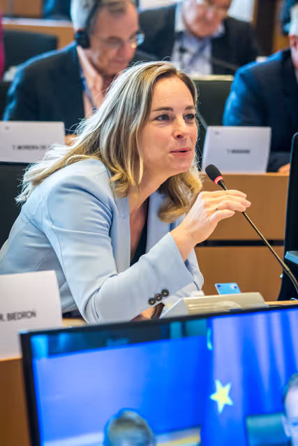 Nuotrauka 20: DEVE Committee constitutive meeting