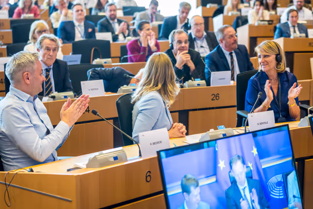 Nuotrauka 19: DEVE Committee constitutive meeting