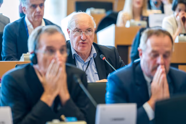 Nuotrauka 15: DEVE Committee constitutive meeting