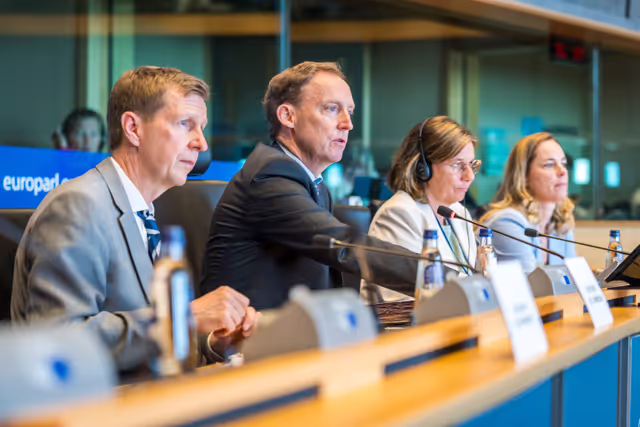 Nuotrauka 17: DEVE Committee constitutive meeting