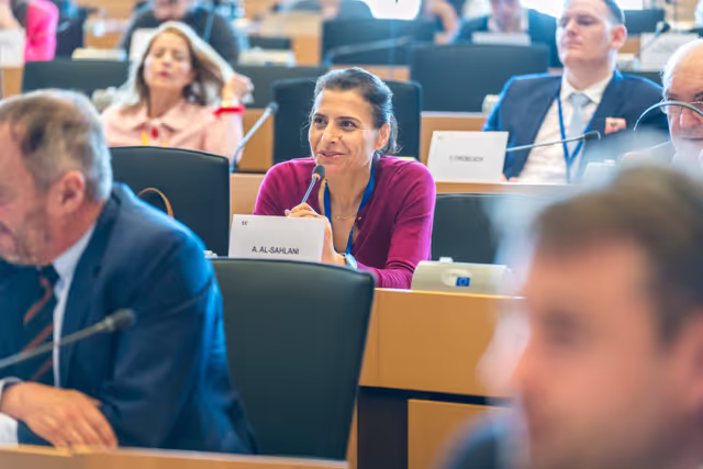 Nuotrauka 16: DEVE Committee constitutive meeting