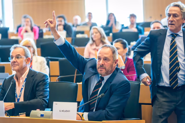 Nuotrauka 11: DEVE Committee constitutive meeting