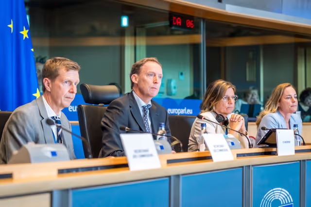 Nuotrauka 10: DEVE Committee constitutive meeting