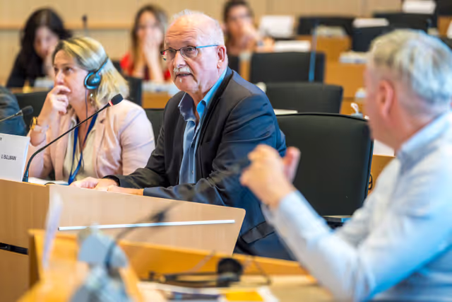 Nuotrauka 8: DEVE Committee constitutive meeting