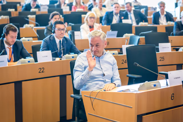 Nuotrauka 9: DEVE Committee constitutive meeting