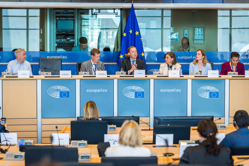 DEVE Committee constitutive meeting