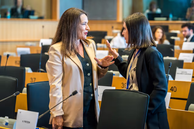 Photo 29 : FEMM Committee constitutive meeting