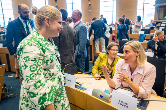 Photo 28 : FEMM Committee constitutive meeting