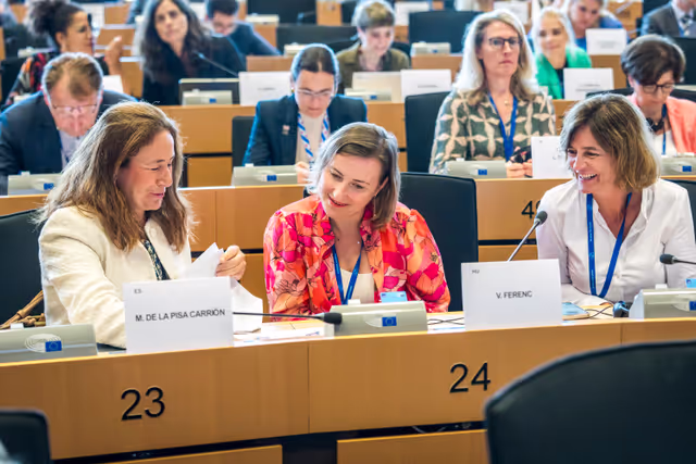 Photo 26 : FEMM Committee constitutive meeting