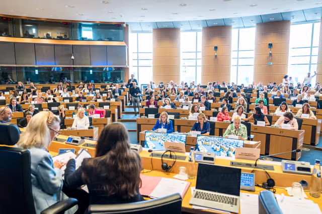 Photo 24 : FEMM Committee constitutive meeting