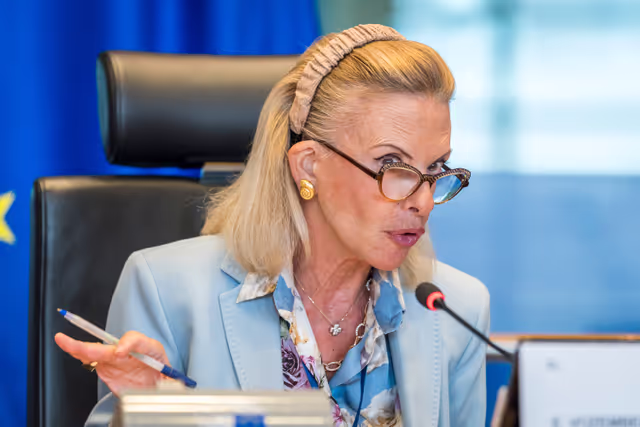 Photo 22 : FEMM Committee constitutive meeting