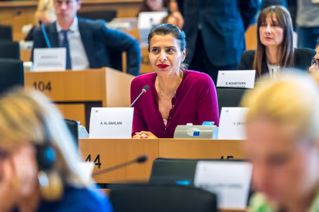 Photo 14 : FEMM Committee constitutive meeting
