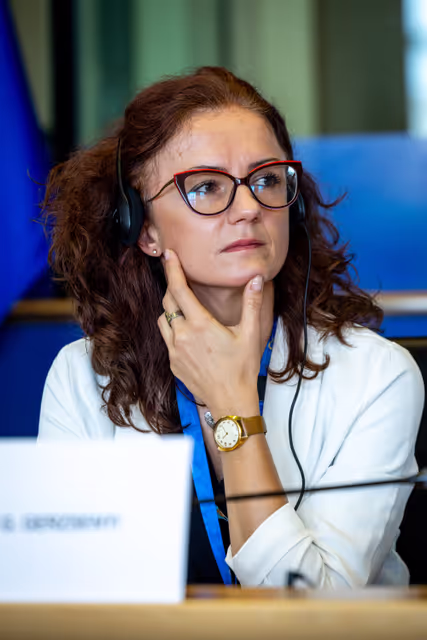 Foto 17: REGI Committee constitutive meeting