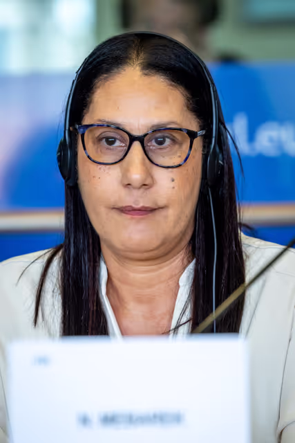 Foto 16: REGI Committee constitutive meeting