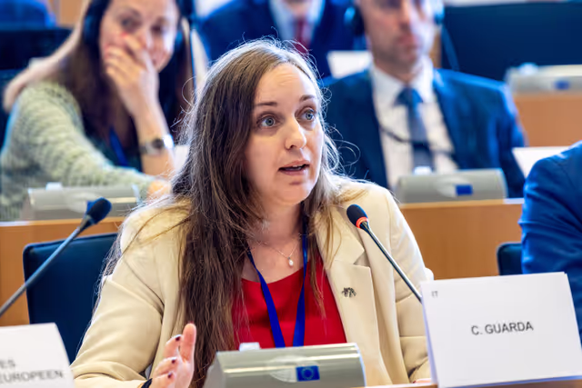 Foto 15: REGI Committee constitutive meeting