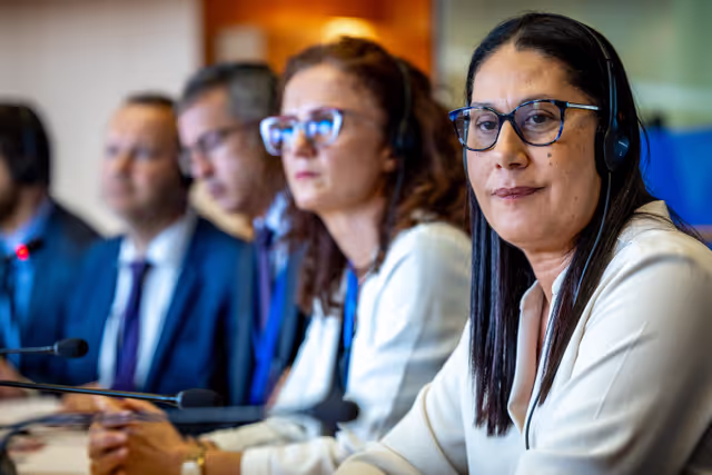 Foto 14: REGI Committee constitutive meeting