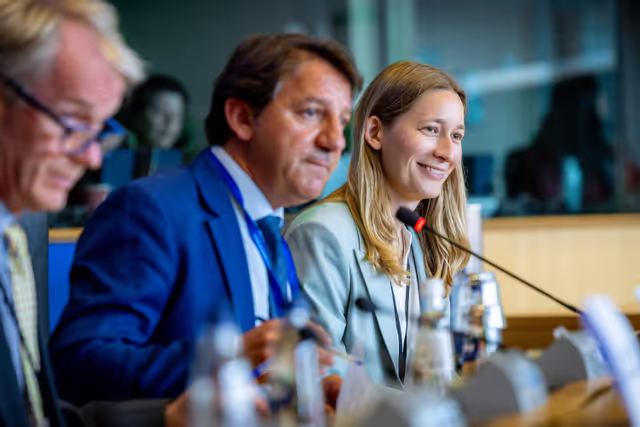 Fotografi 17: FISC Committee constitutive meeting