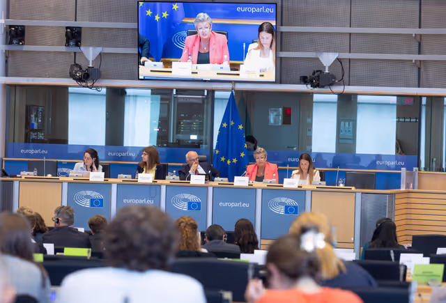 Fotografija 12: LIBE Committee meeting