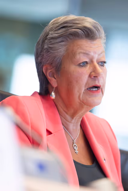 Fotografija 2: LIBE Committee meeting